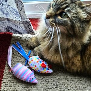 ***2XHP***2 NWOT Catnip kitty mouse toys NEVER USED